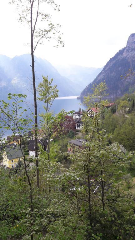 Appartamento Am Baalstein Traunkirchen Esterno foto